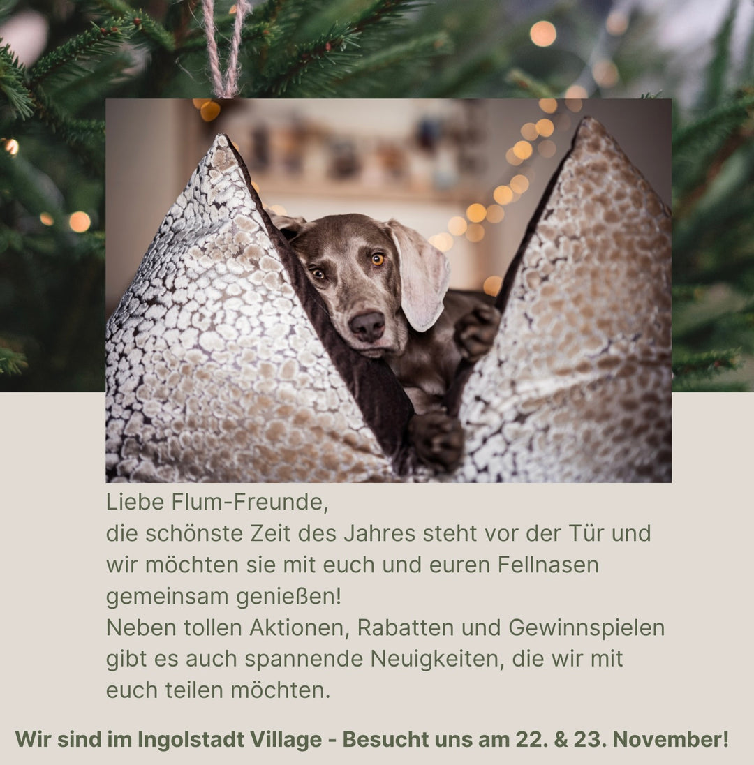 Alles was ihr wissen müsst: Ingolstadt Village, Black Weekend, Adventszeit und Weihnachten (Lieferzeit/ Urlaub)