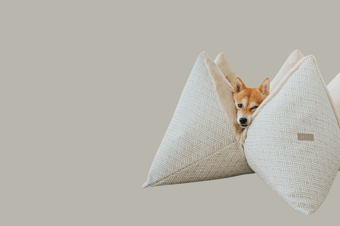 FLUM Manufaktur Hundekissen Neue Kollektion