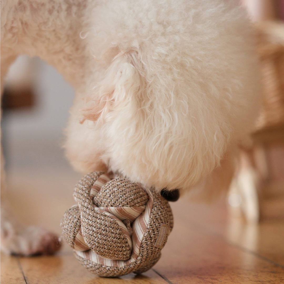 MINI MONTI // Beschäftigungsspielzeug für Hunde // Schnüffelspielzeug // 2 Farben