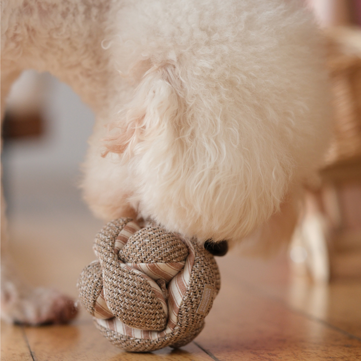 MINI MONTI // Beschäftigungsspielzeug für Hunde // Schnüffelspielzeug // 2 Farben