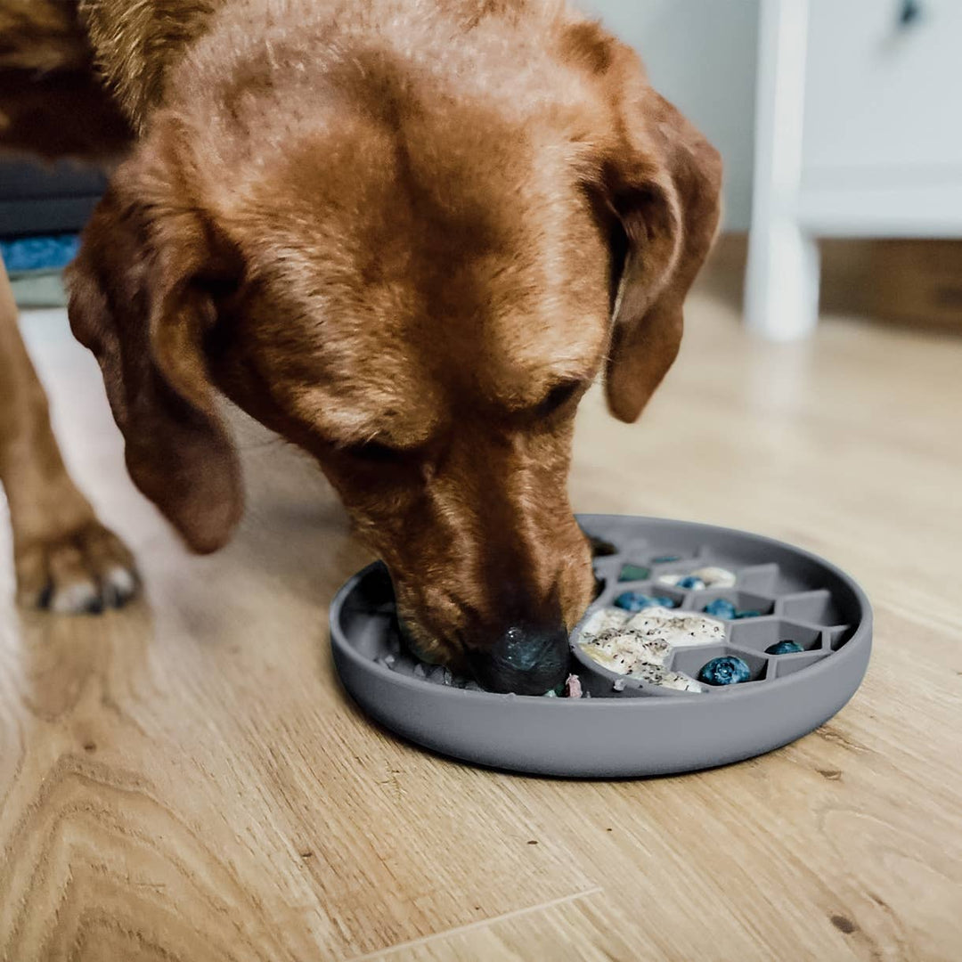 Ne&no® Anti-Schlingnapf / Schleckschale für Hunde & Katzen