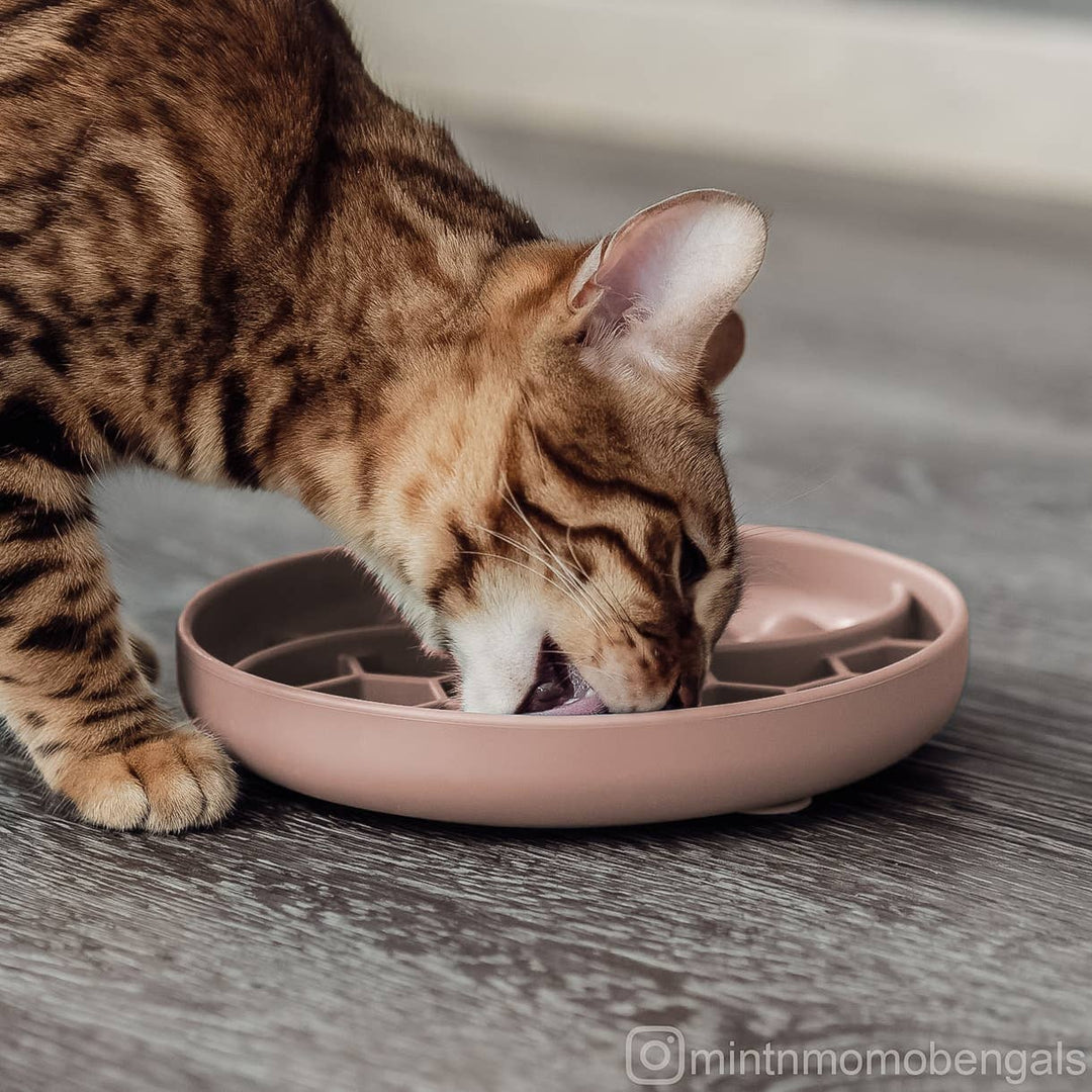 Ne&no® Anti-Schlingnapf / Schleckschale für Hunde & Katzen