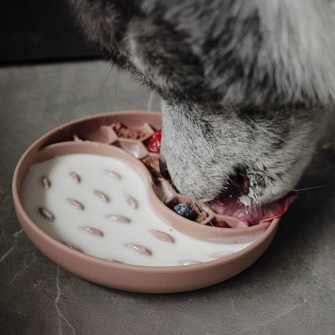 Ne&no® Anti-Schlingnapf / Schleckschale für Hunde & Katzen