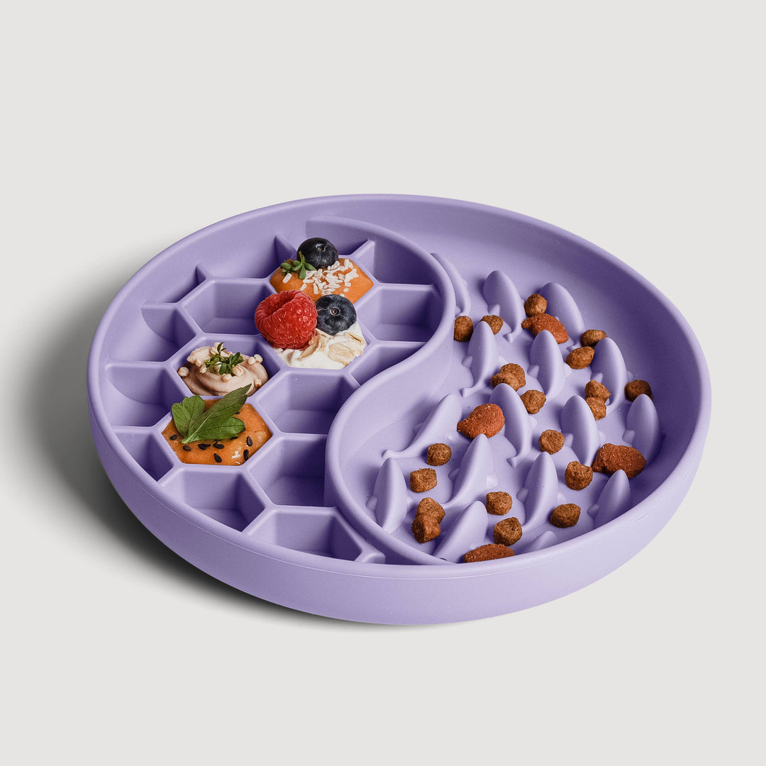 Ne&no® Anti-Schlingnapf / Schleckschale für Hunde & Katzen