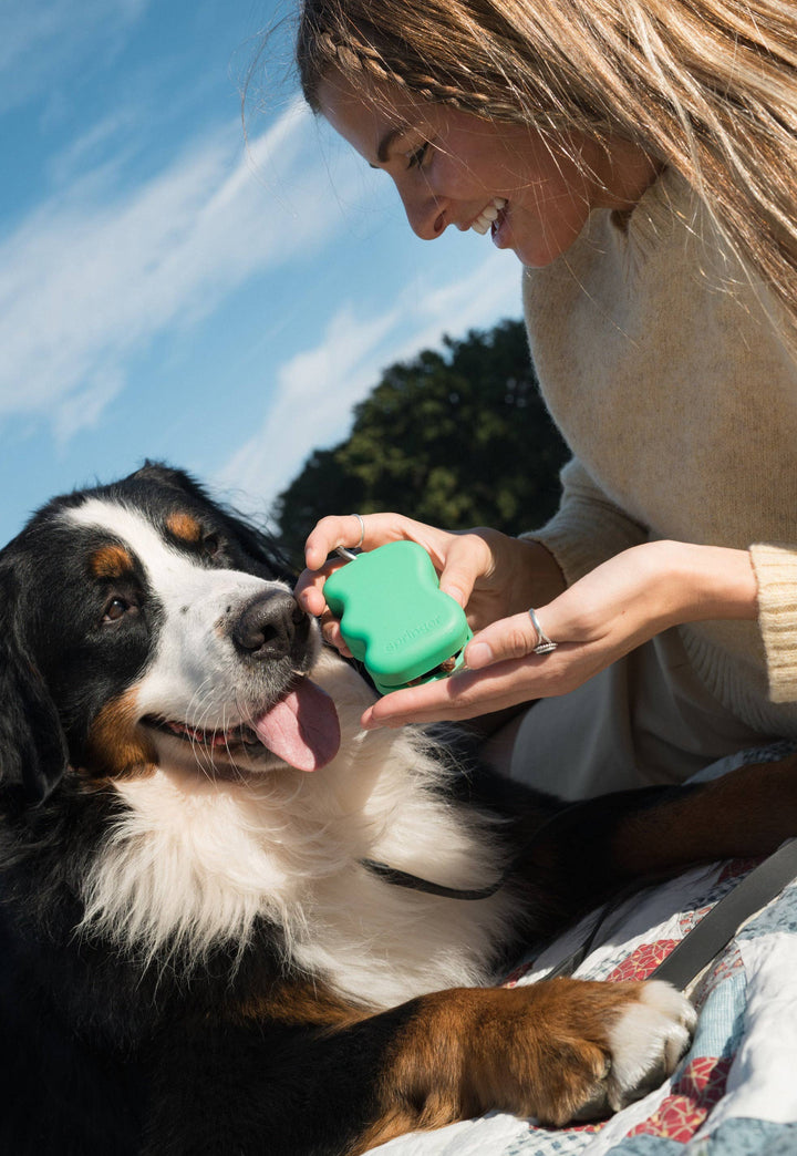 Silikon-Futterschlauch-Spender für Hunde (12er-Pack)