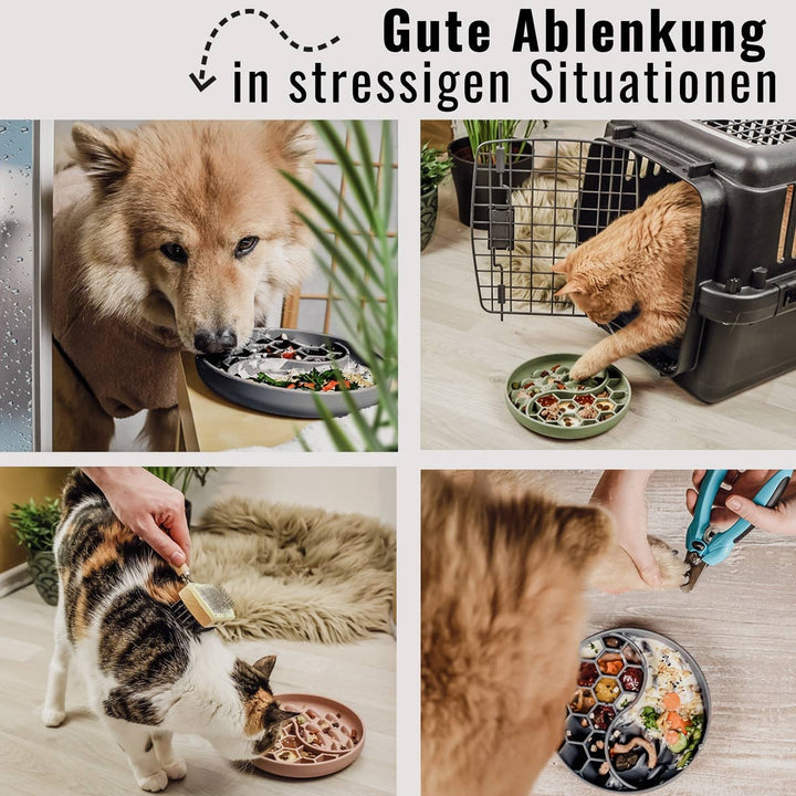Ne&no® Anti-Schlingnapf / Schleckschale für Hunde & Katzen