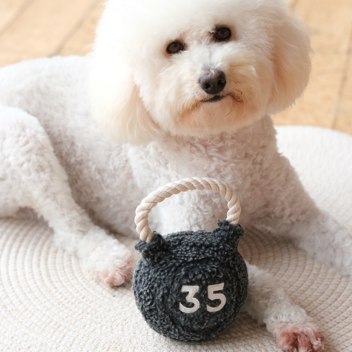 KETTLEBELL // BESCHÄFTIGUNGSSPIELZEUG FÜR HUNDE // ZERR- UND APPORTIERSPIELZEUG