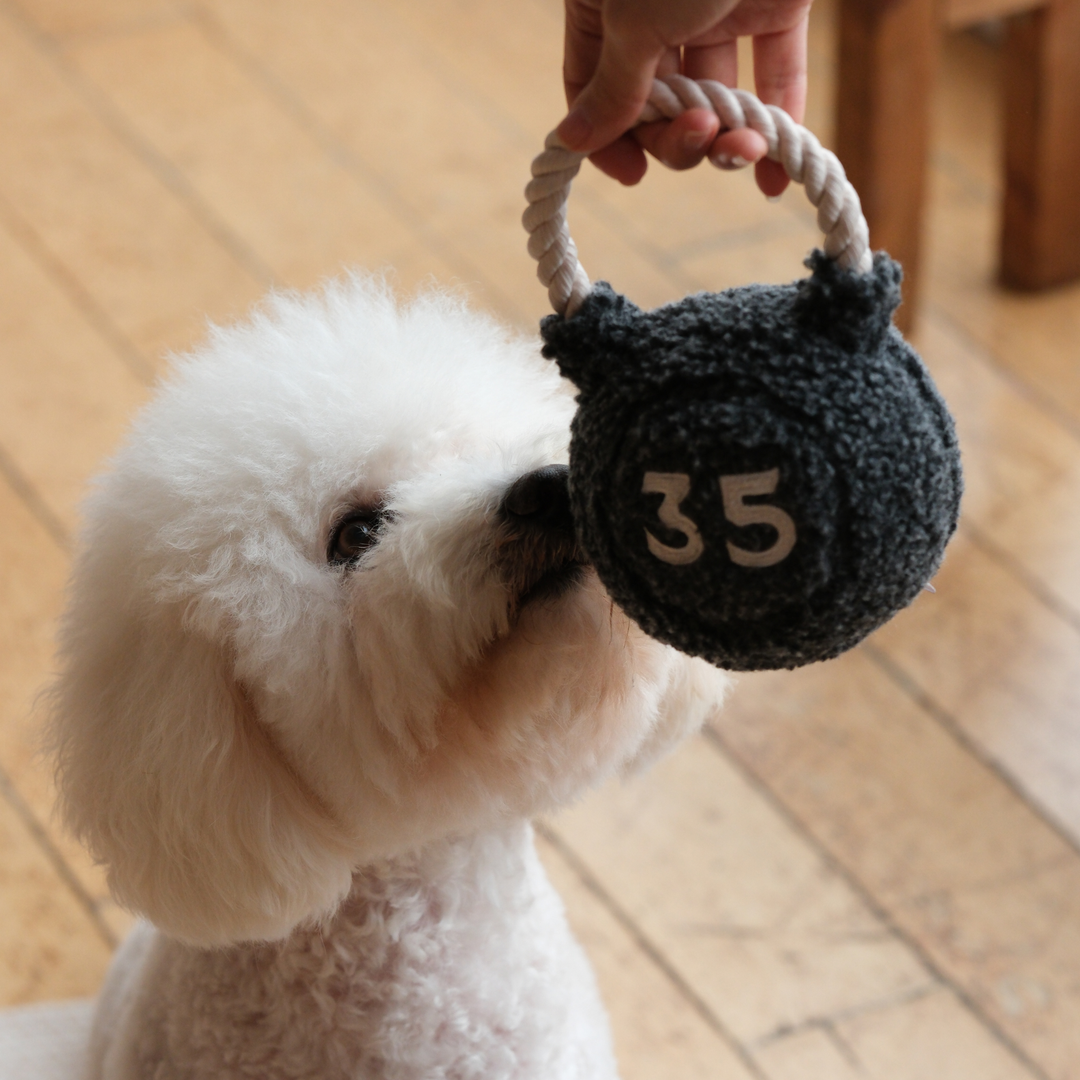 KETTLEBELL // BESCHÄFTIGUNGSSPIELZEUG FÜR HUNDE // ZERR- UND APPORTIERSPIELZEUG