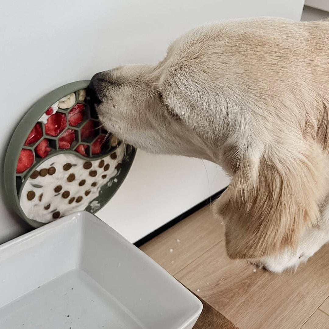 Ne&no® Anti-Schlingnapf / Schleckschale für Hunde & Katzen