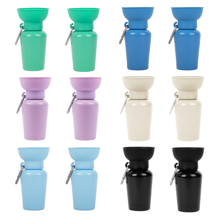 Springland Hundereise-Trinkflasche 591 ml (20 oz) mit Klappverschluss – 12er-Mix