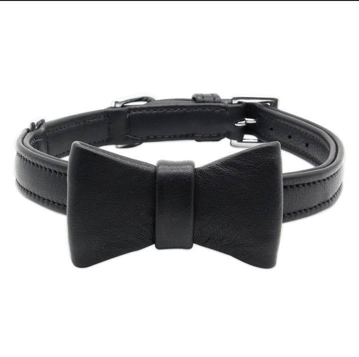Halsband- Suit Up