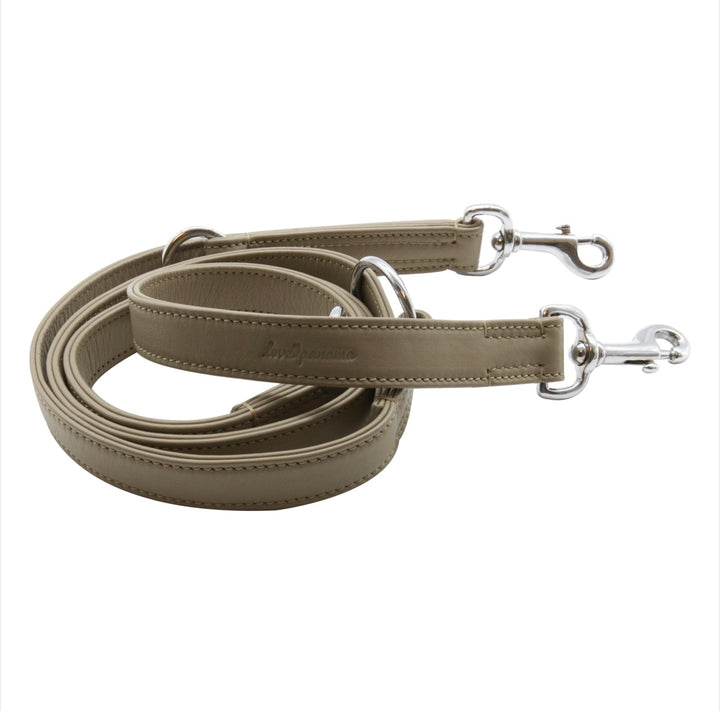Leine - Fusionist