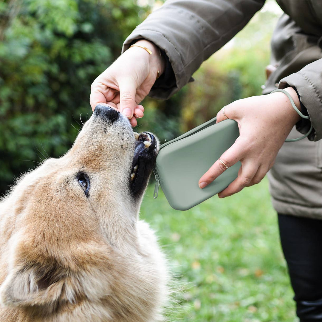 Ne&no® Leckerlitasche aus Silikon für Hunde