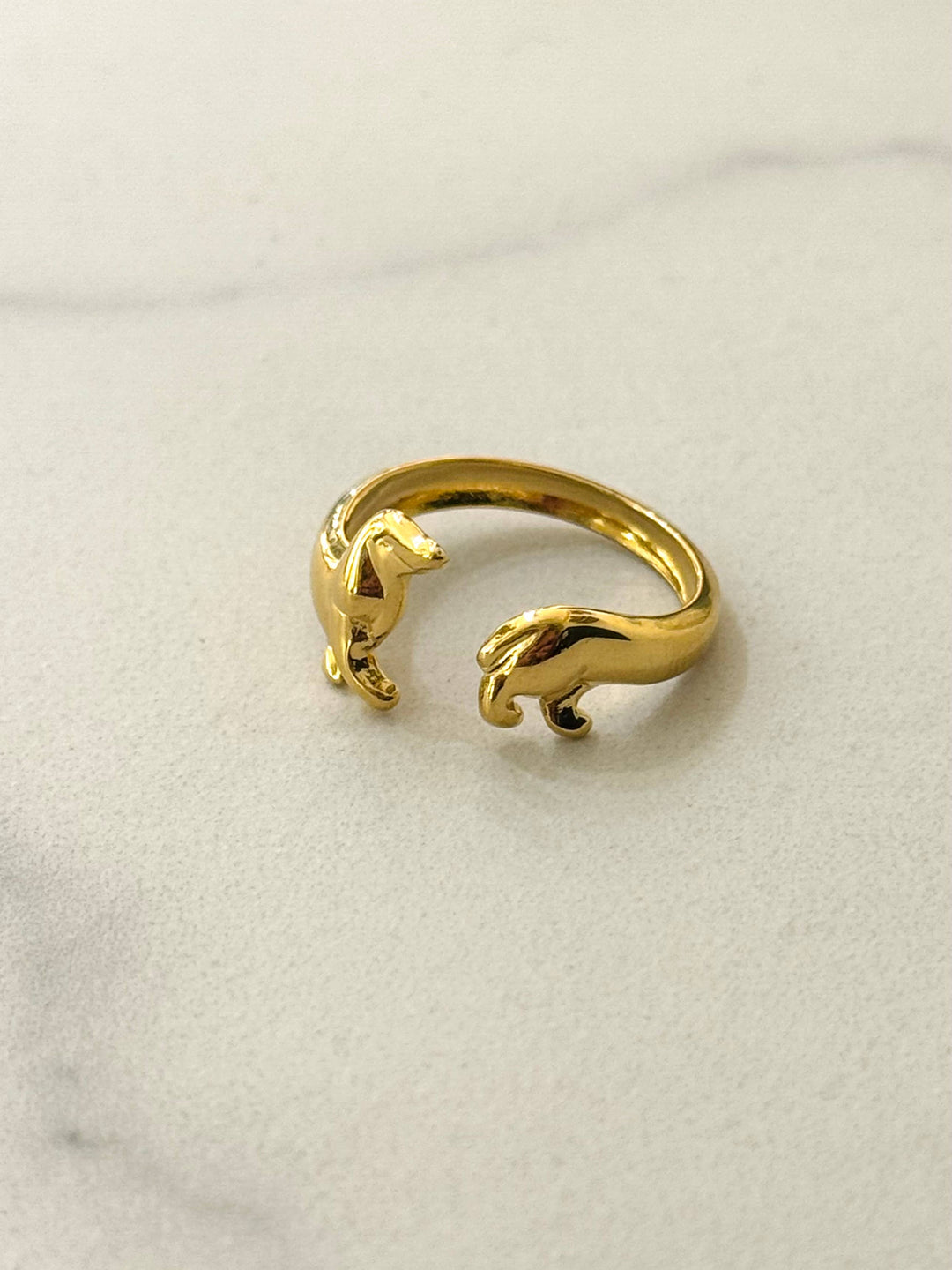 Dackel Tour Ring