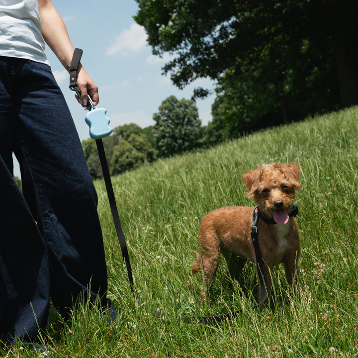 Silikon-Futterschlauch-Spender für Hunde (12er-Pack)