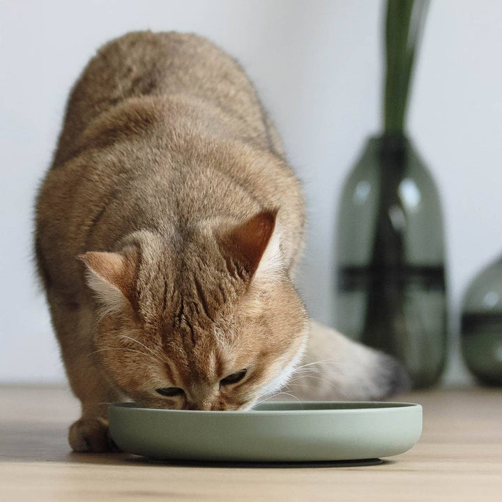 Ne&no® Anti-Schlingnapf / Schleckschale für Hunde & Katzen