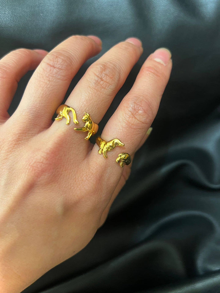Dackel Tour Ring