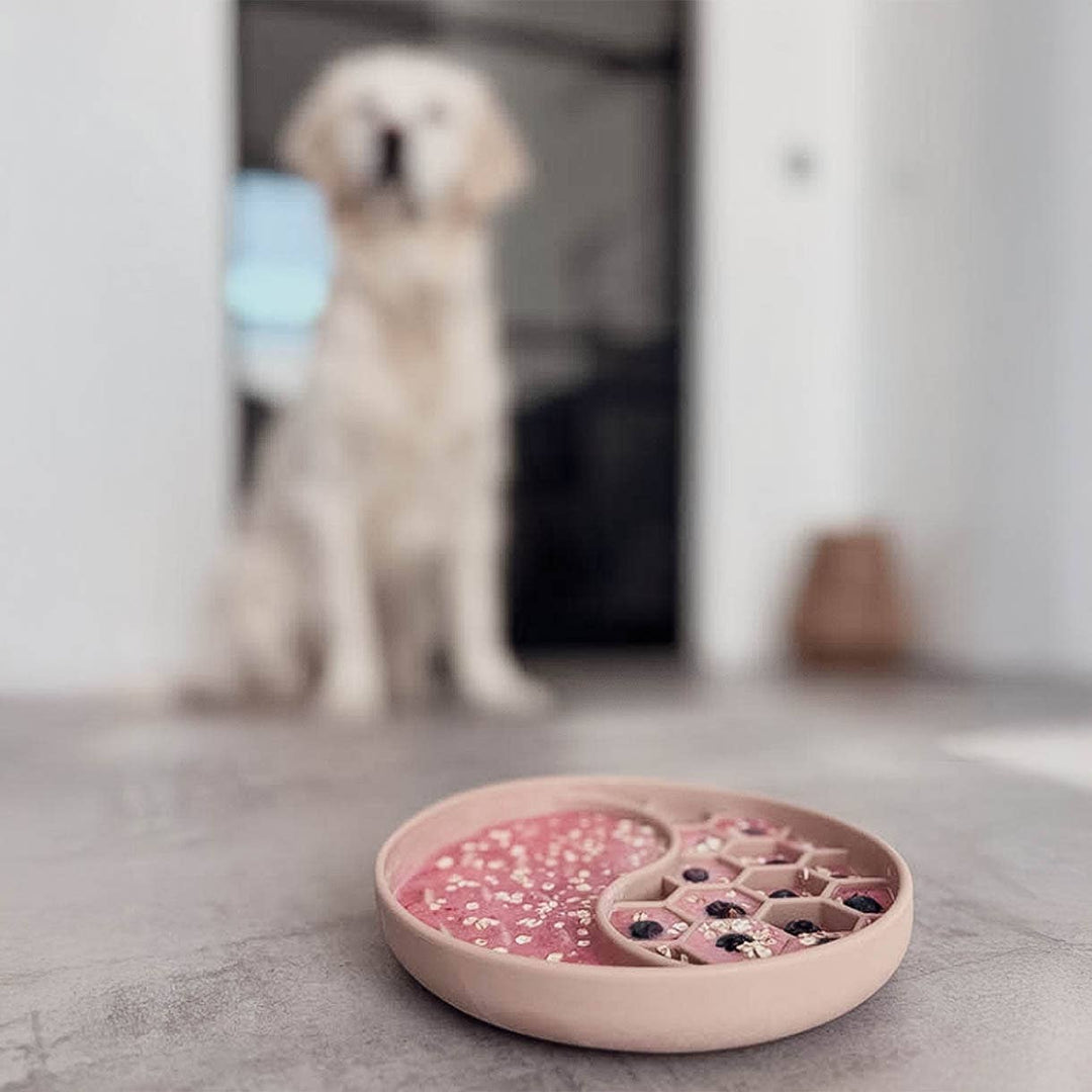 Ne&no® Anti-Schlingnapf / Schleckschale für Hunde & Katzen