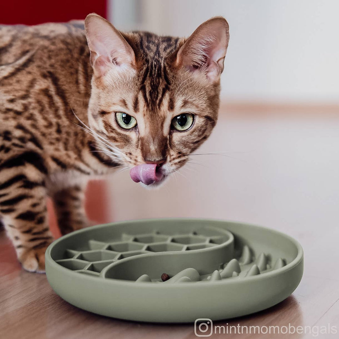 Ne&no® Anti-Schlingnapf / Schleckschale für Hunde & Katzen