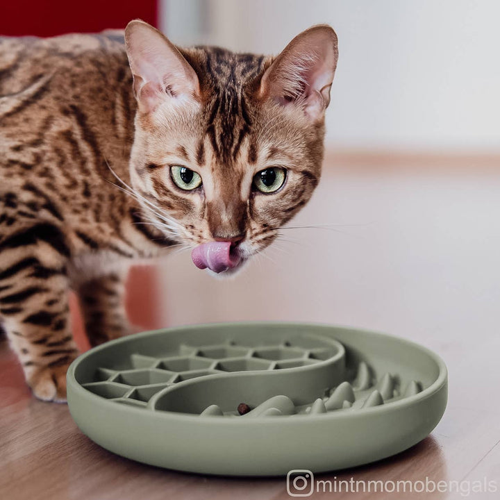 Ne&no® Anti-Schlingnapf / Schleckschale für Hunde & Katzen