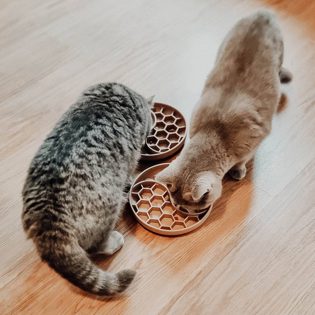 Ne&no® Anti-Schlingnapf / Schleckschale für Hunde & Katzen