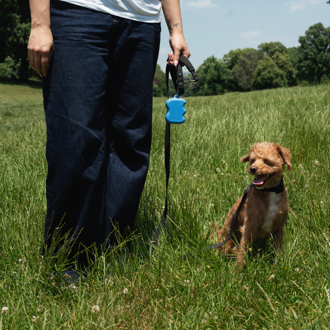 Silikon-Futterschlauch-Spender für Hunde (12er-Pack)
