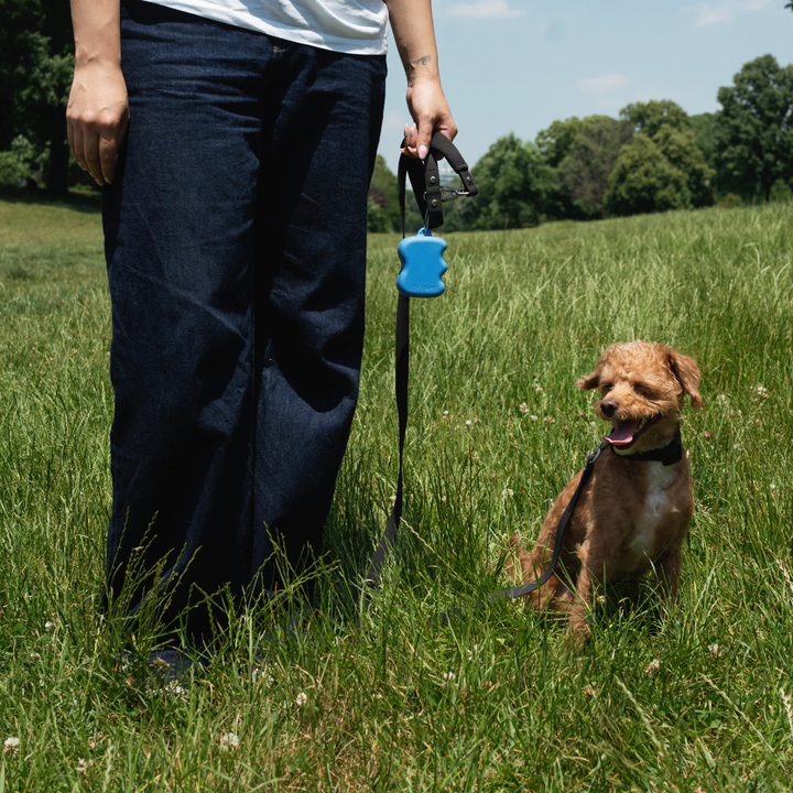 Silikon-Futterschlauch-Spender für Hunde (12er-Pack)