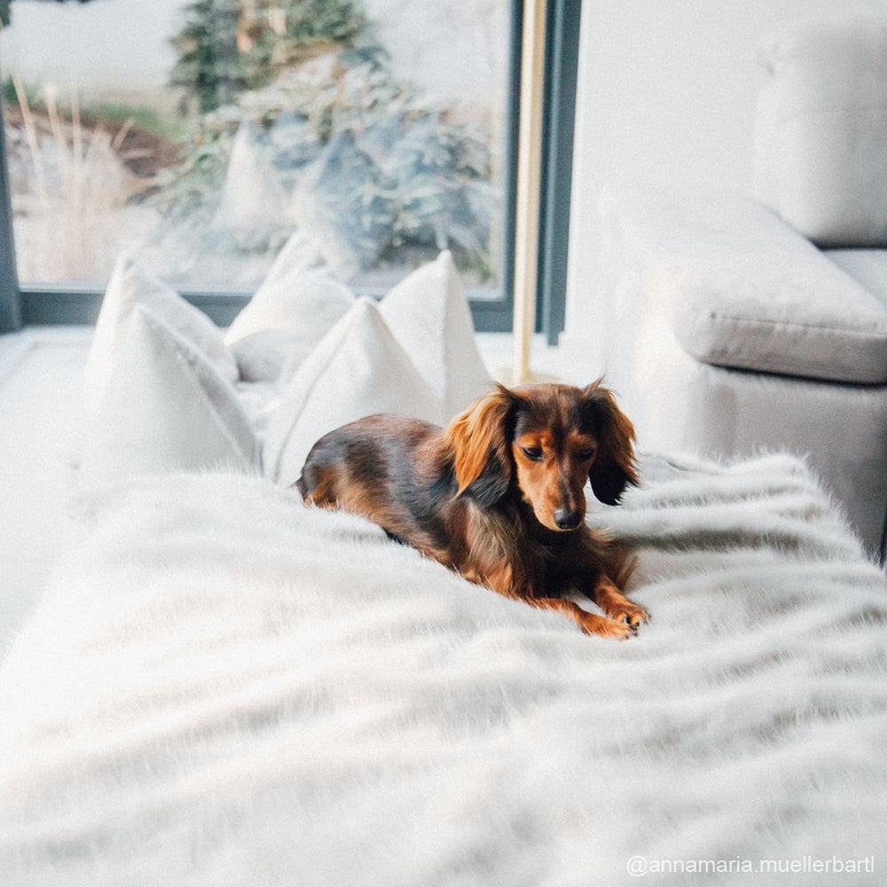 FLUM DOG BLANKETS