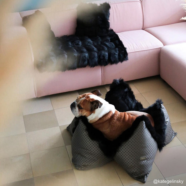 FLUM DOG BLANKETS