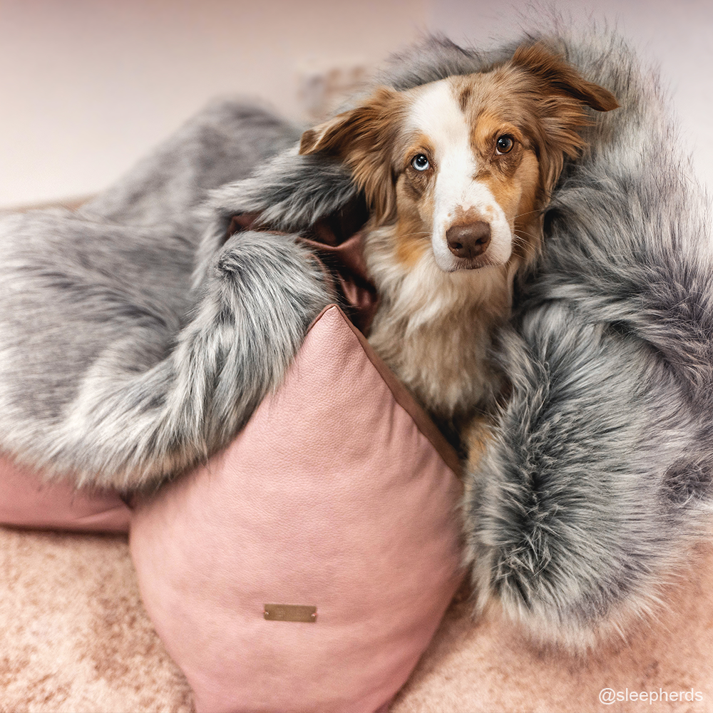 FLUM DOG BLANKETS