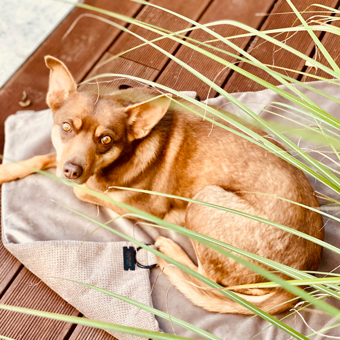 Travel-Decke Light Brown - FLUM Manufaktur